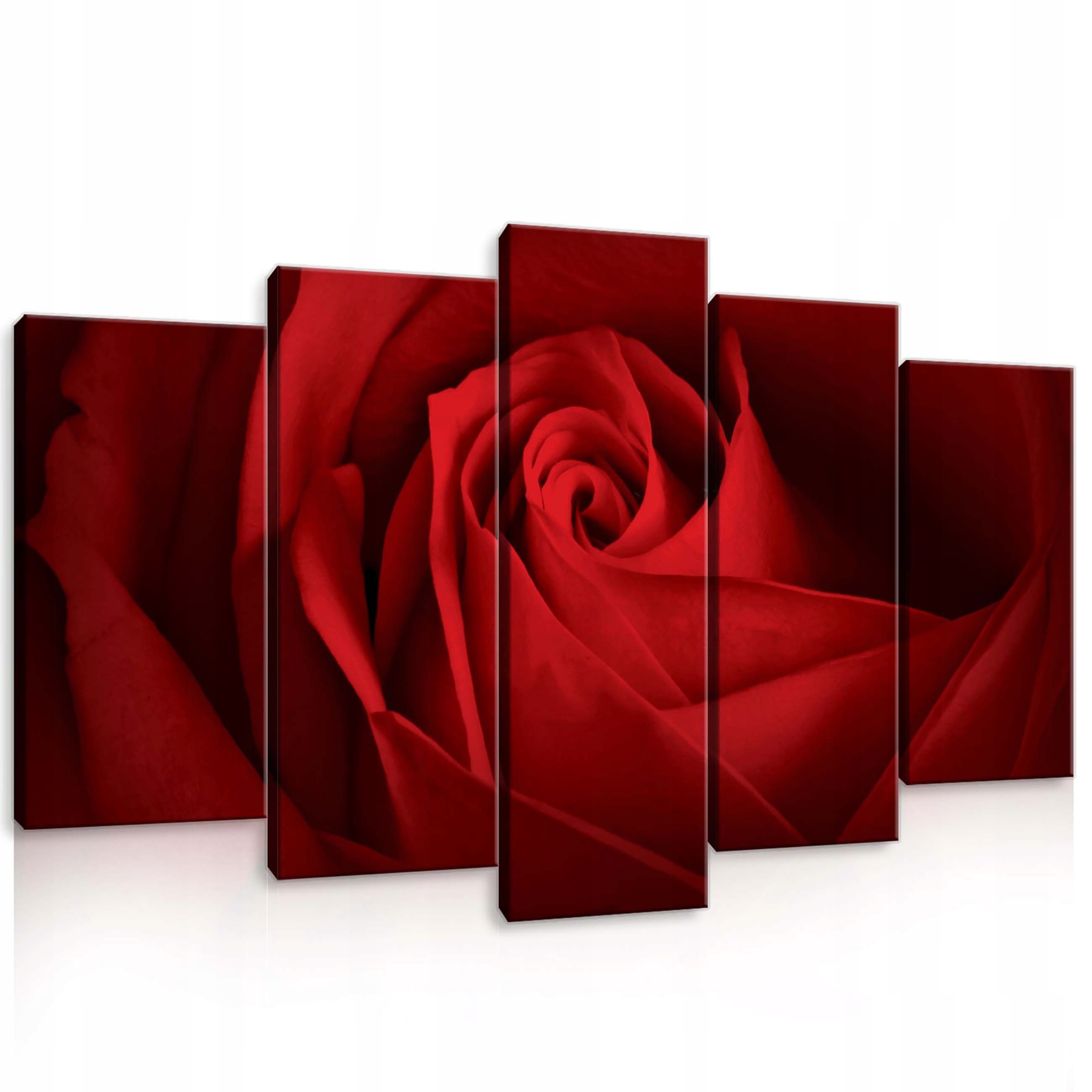 Obraz 100x60 Červená růže květiny abstrakce vášeň dekorace stěny okvětní lístky