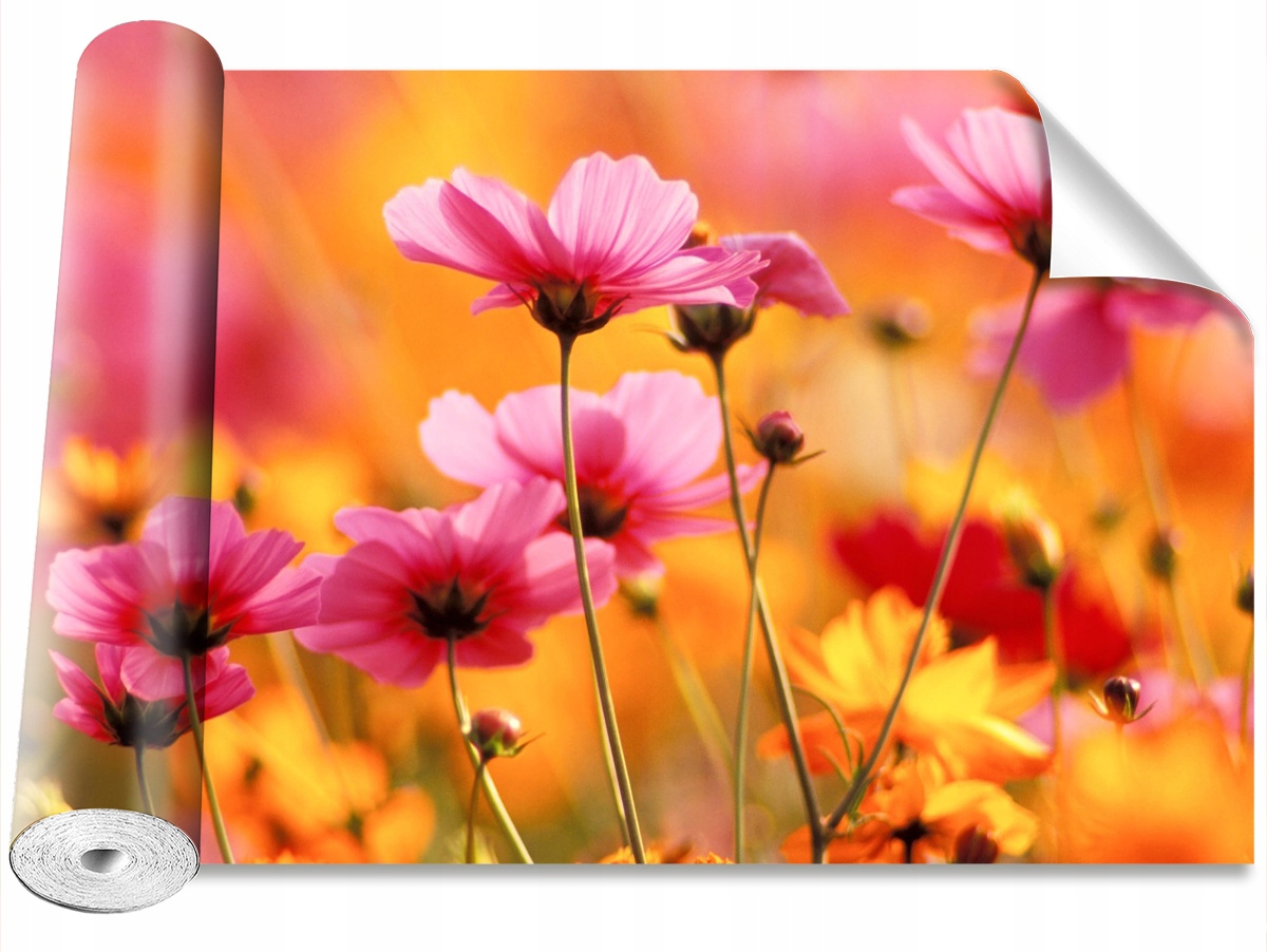 

Tapeta Samoprzylepna Kosmos Ogród 104x70