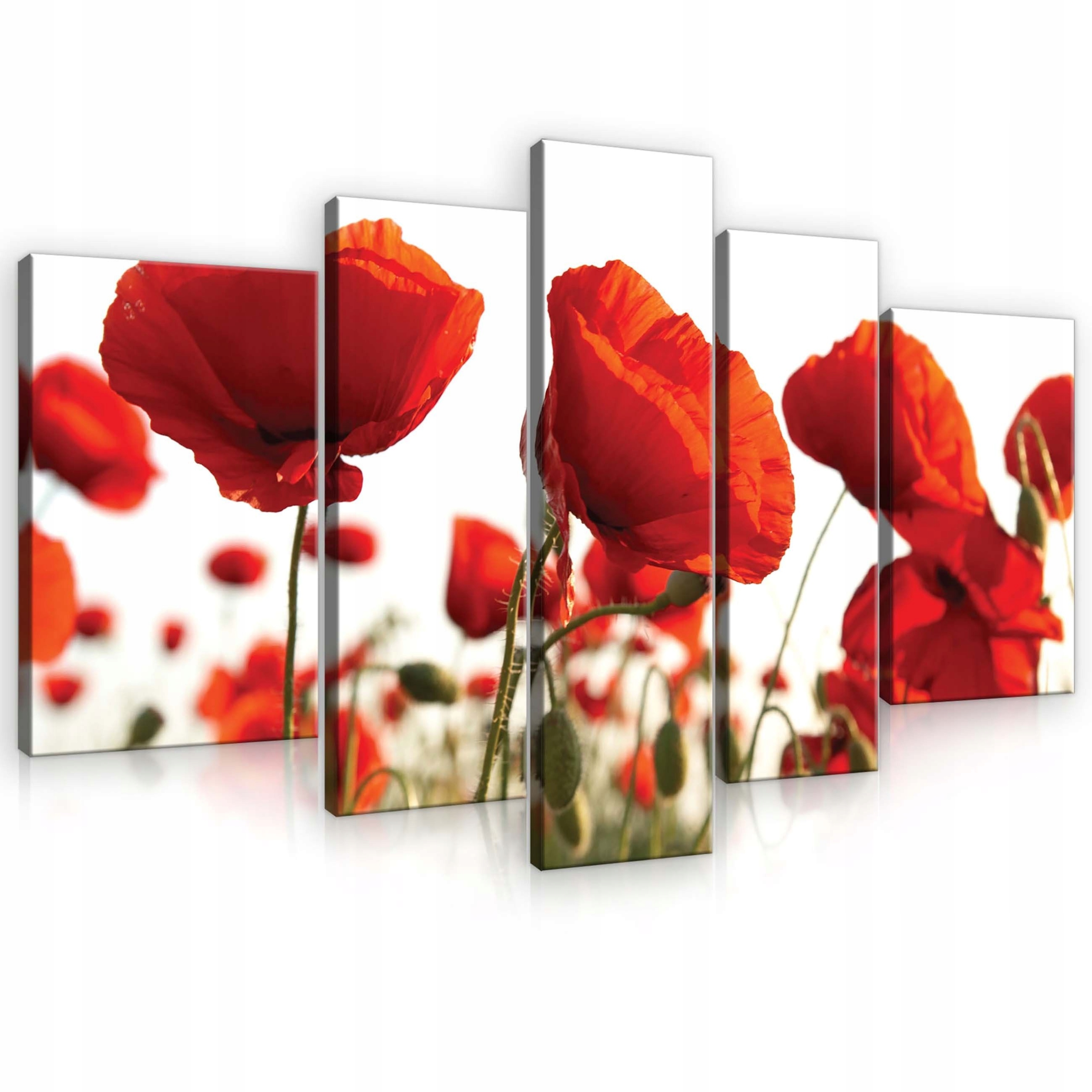 Obraz 170x100 Maky červené pole leto kvety príroda farby umenie