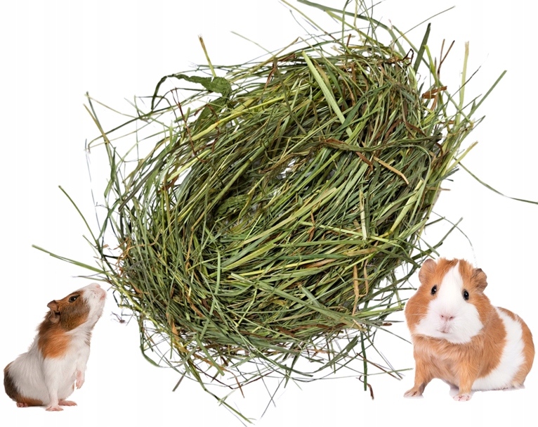 Levně Pro peruánku morče je dobré pokosové seno letošní seno 8 kg