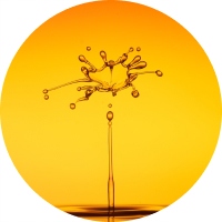 ODŻYWKA DO WŁOSÓW PRZESUSZONYCH OIL EKSPRES 200ML Działanie regeneracja i nawilżenie