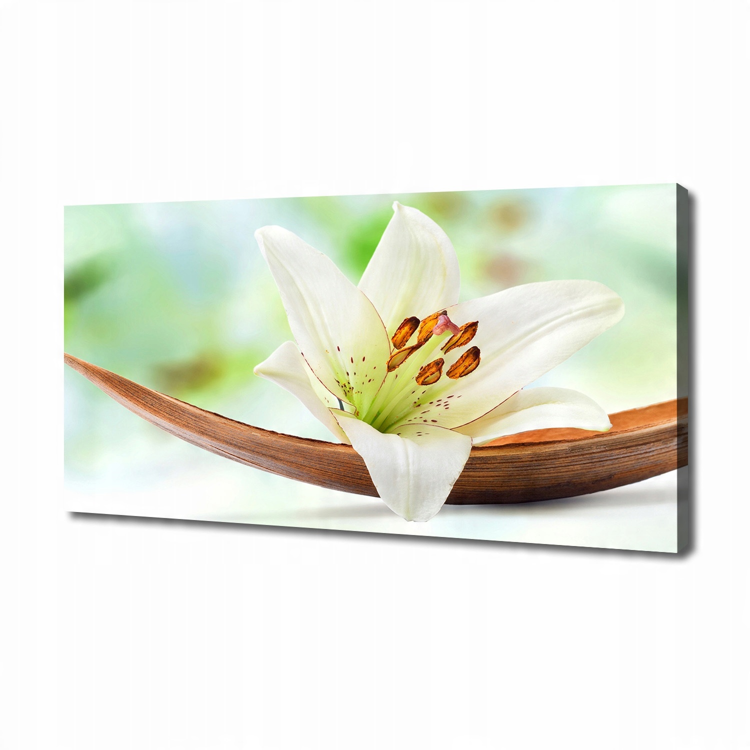 

Foto obraz ze zdjęcia do salonu Lilia 140x70 cm
