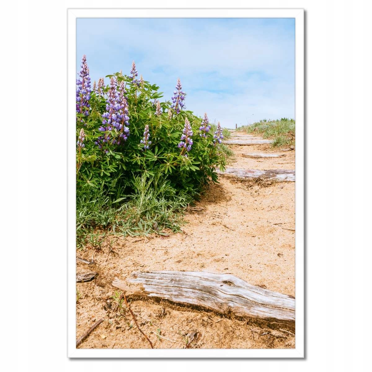 Plakáty v rámu 40x60 Schody Květiny Louka