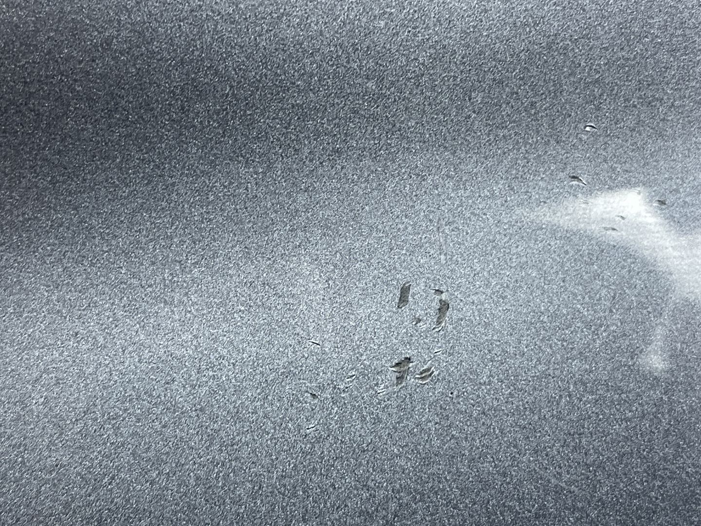 D2 AUDI Q4 E-TRON SPORTBACK 2021- SPOILER LOTKA heck + STOP 89E827933