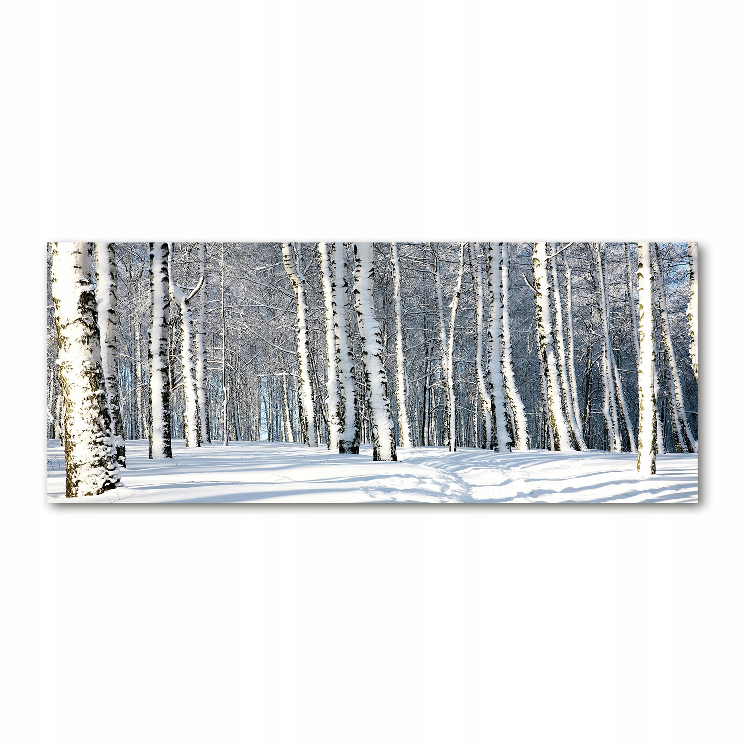 

Foto obraz duży akryl nowoczesny Las zimą 125x50cm