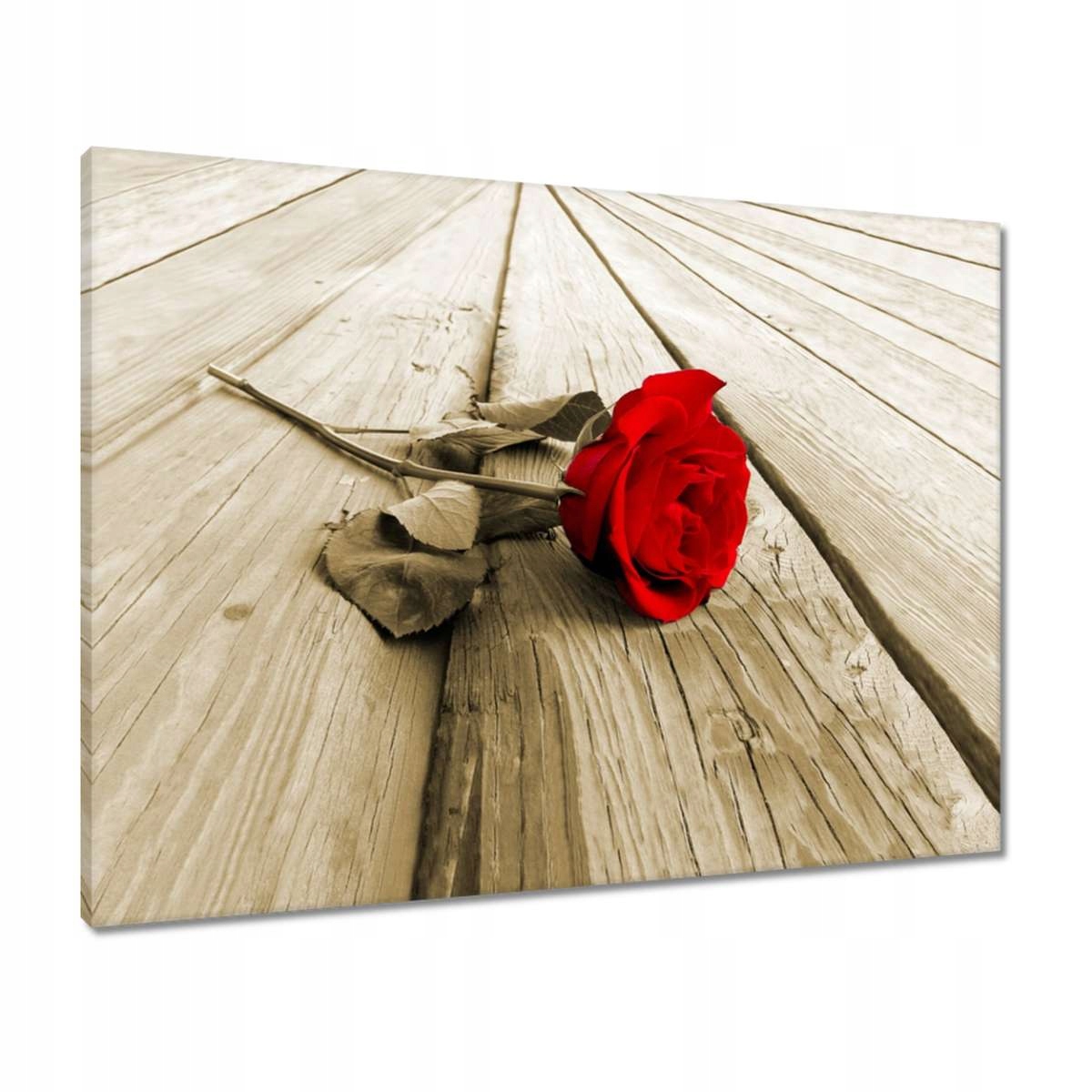 Obrazy 80x60 Červená růže na deskách