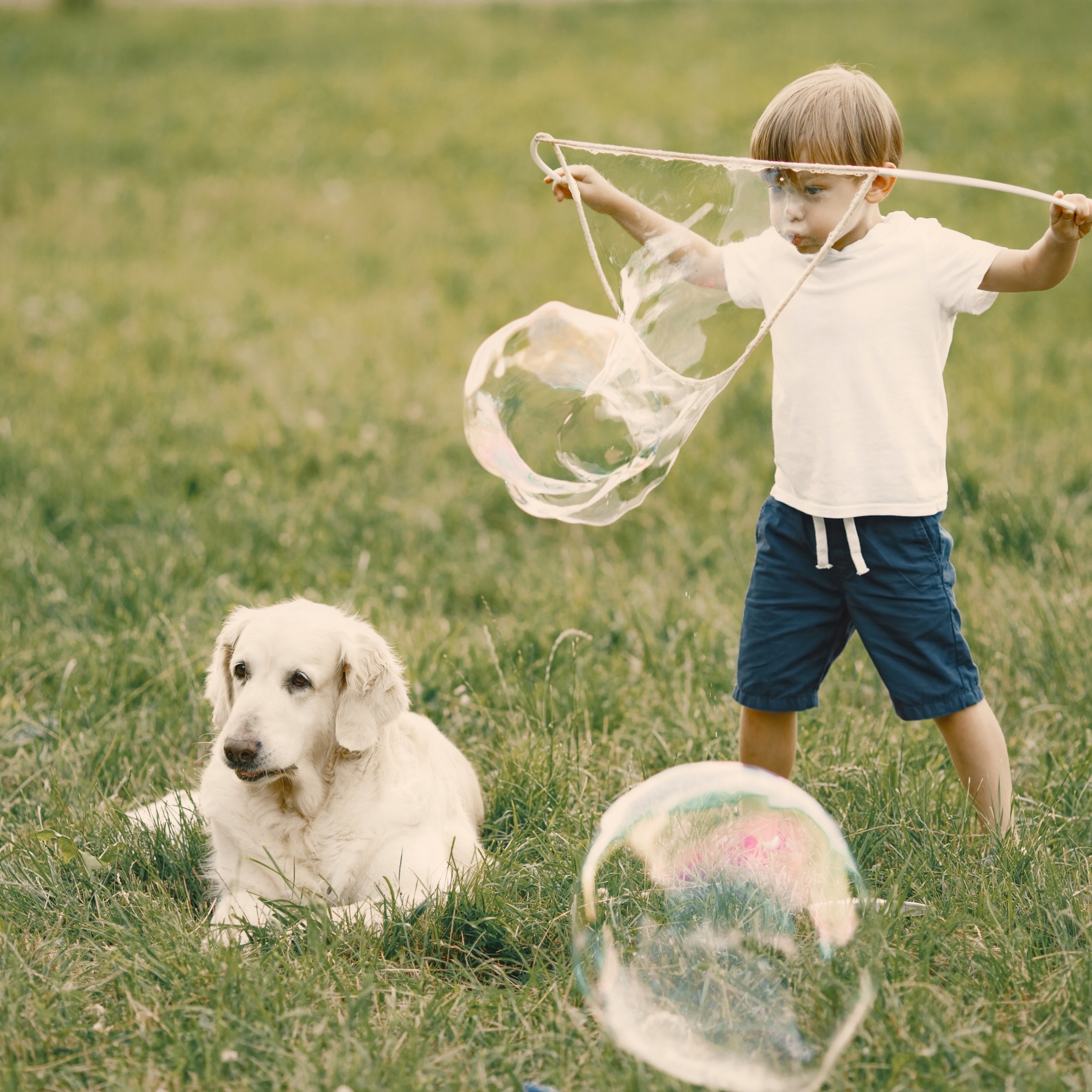 Zestaw do Baniek Mydlanych Obręcz i 1 Litr Płyn do dużych baniek mydlanych Wysokość produktu 3 cm