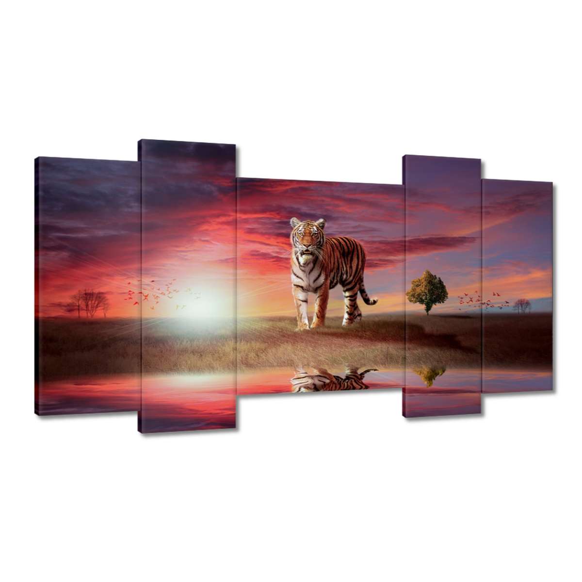 Obrazy 120x65 Tygr
