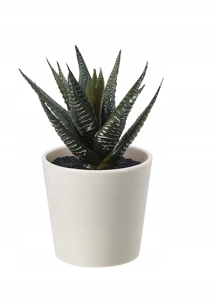 

Ikea Fejka sztuczny sukulent roślinka