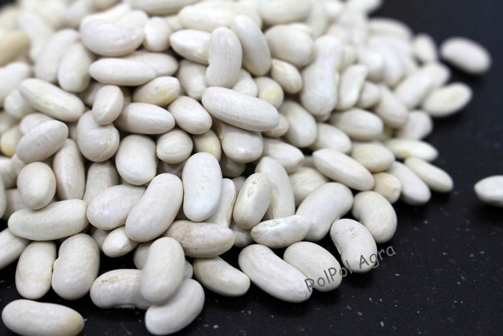 Fasola drobna biała 25 kg