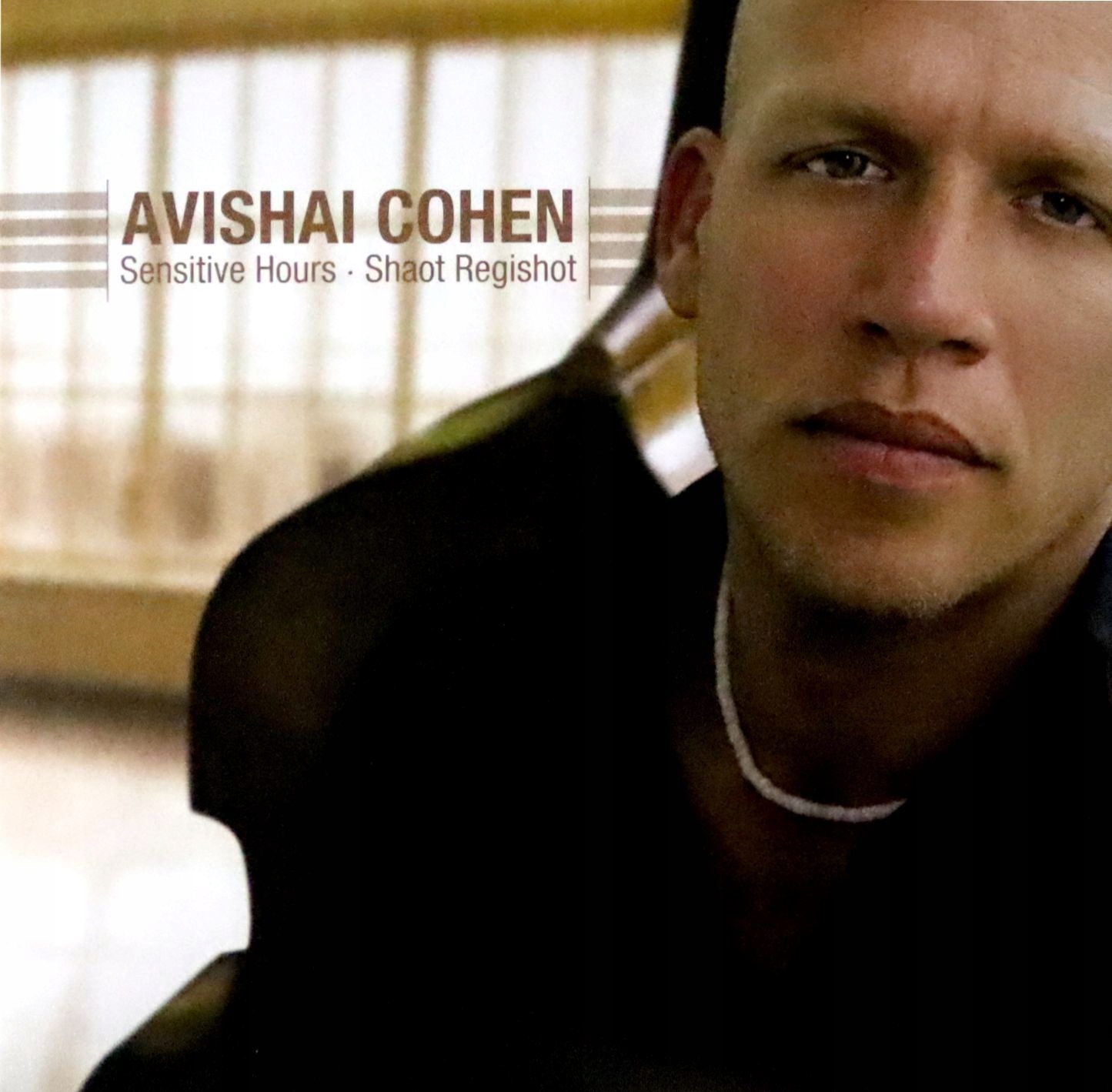 Avishai Cohen: Sensitive Hours [winyl]