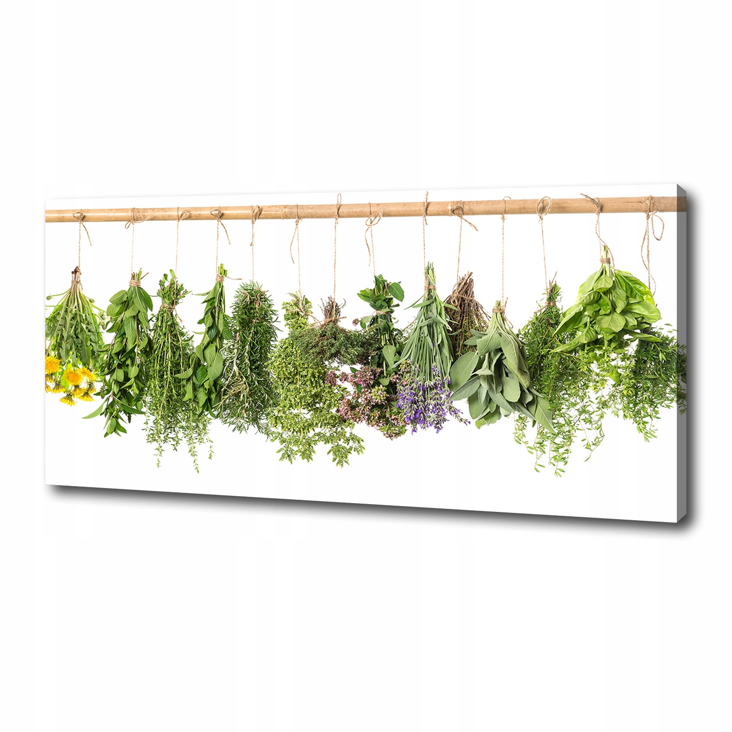 

Foto obraz na płótnie Zioła na sznurku 125x50 cm