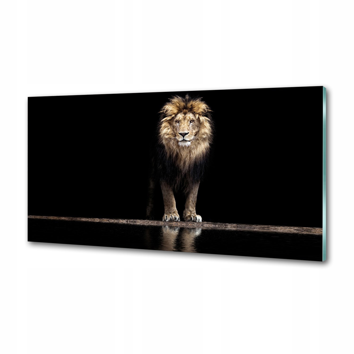 Panel dekor sklo Portrét leva 120 x 60 cm Lepidlo