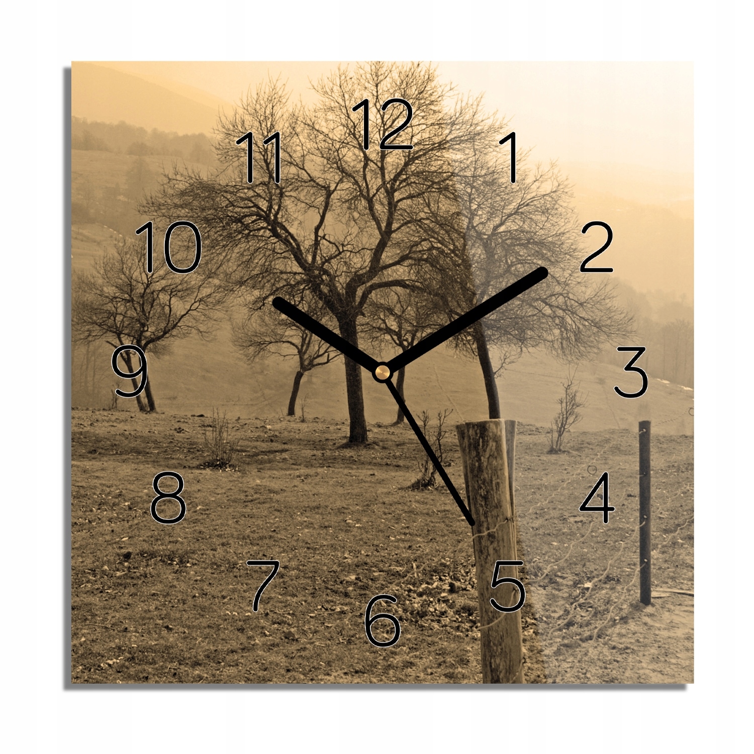 

Drzewa korony widok foto-zegar ze zdjęciem 30x30