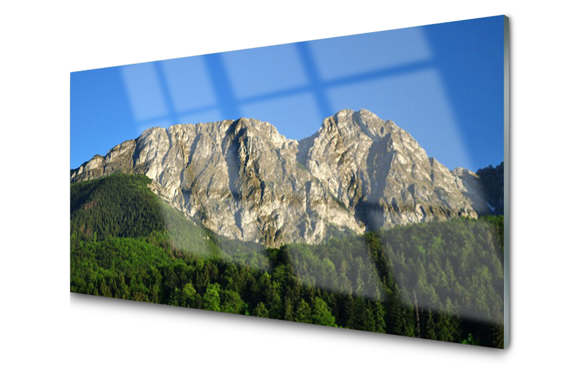 

Panel szklany dekor Góra Las 140x70 + Klej