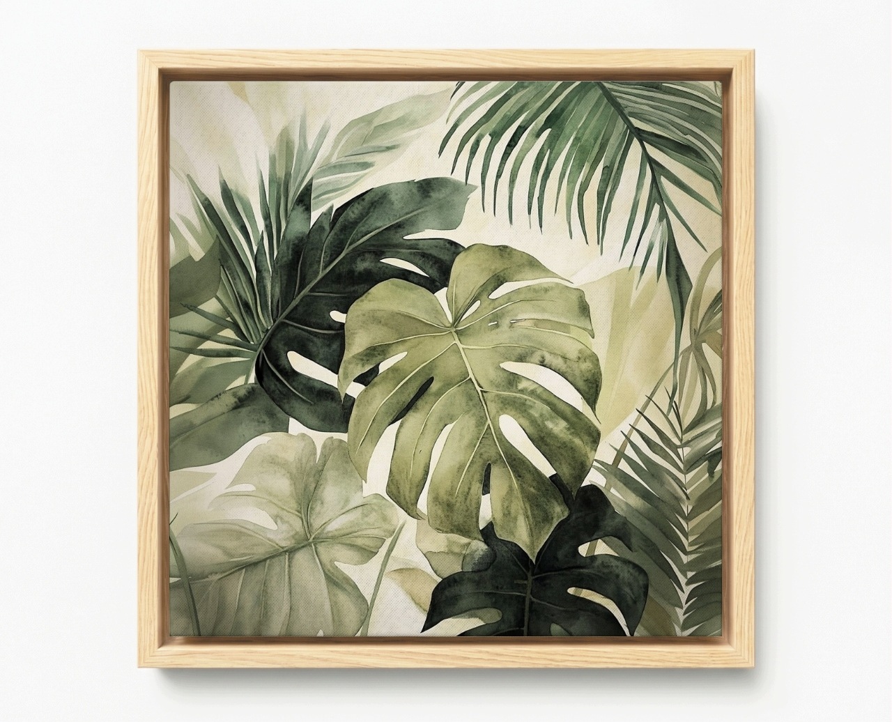 Obraz Rám American Box Akvarel Príroda Príroda Rastliny Monstera 60x60