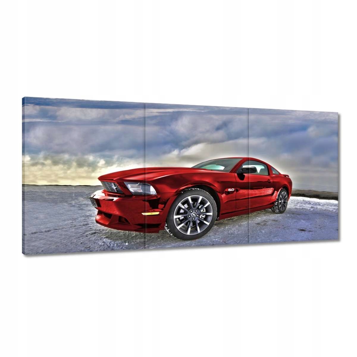 Obrazy 210x100 Červený Mustang Sneh