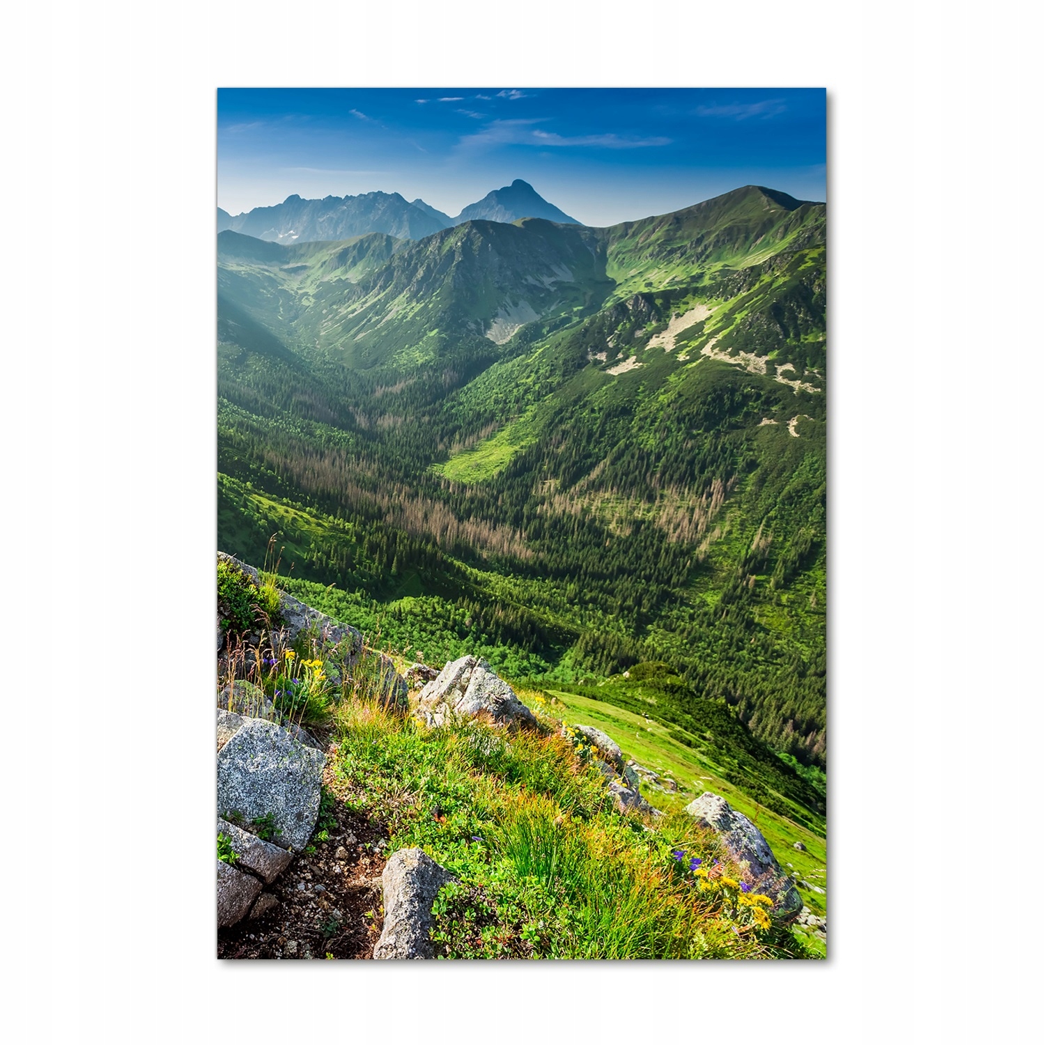 

Foto obraz akrylowy na ścianę Góry latem 70x100cm