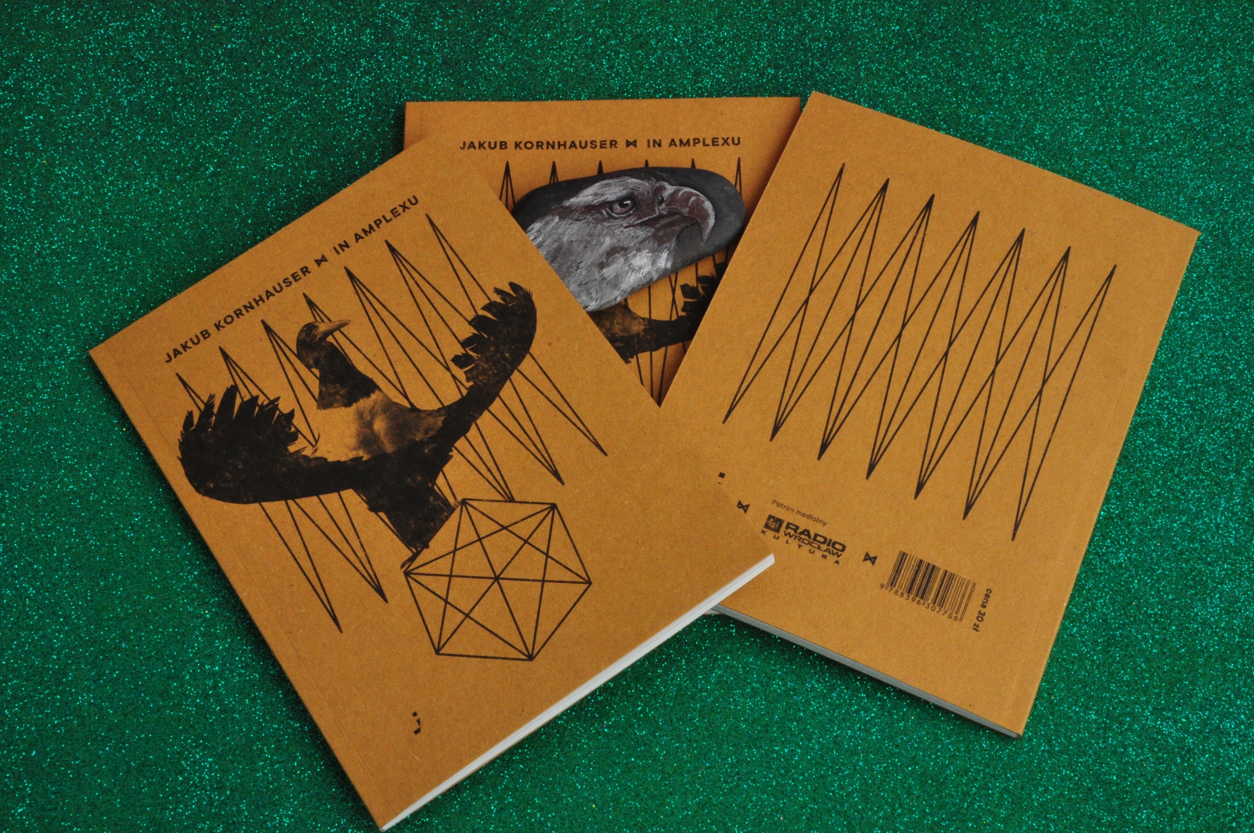 Jakub Kornhauser, In amplexu Autor Jakub Kornhauser