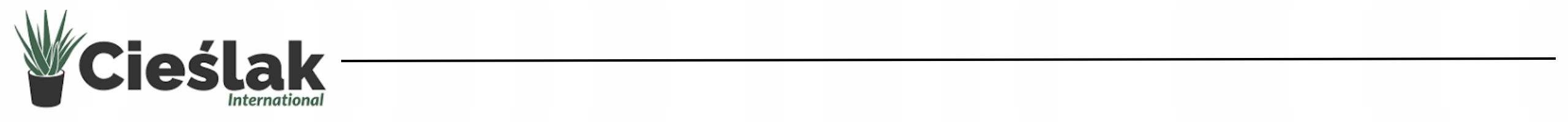 OSŁONKA CERAMICZNA ANDALUZJA L Materiał ceramika