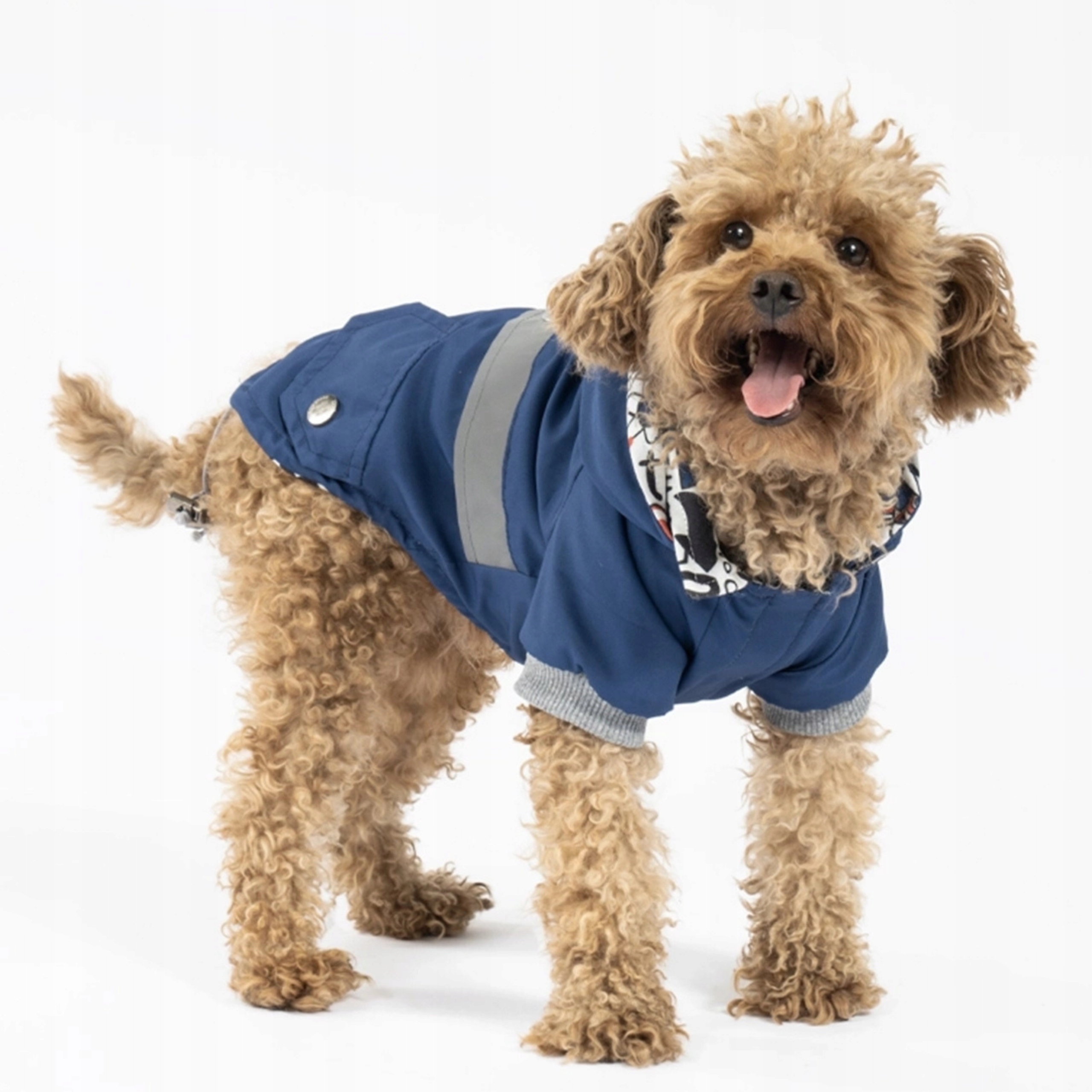 Levně Zateplená nepromokavá bunda pro malého psa S-2XL, modrá