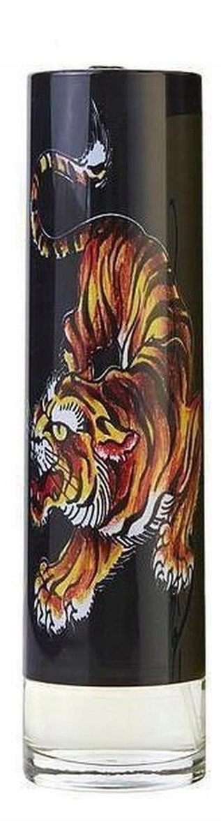 Christian Audigier Ed Hardy Men's Toaletní voda sprej 100 ml