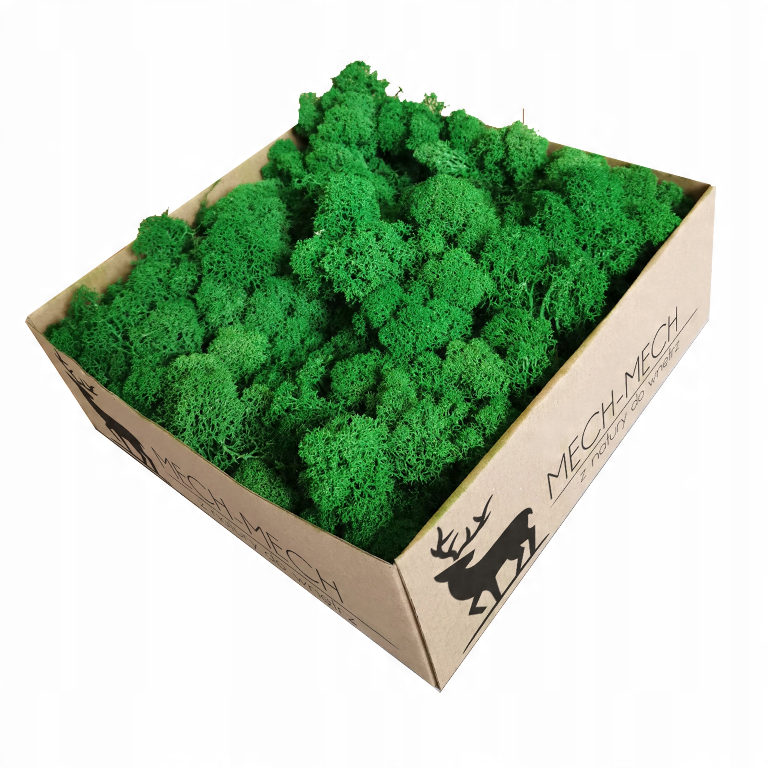 

500g Mech Chrobotek Oczyszczony Zielony Premium