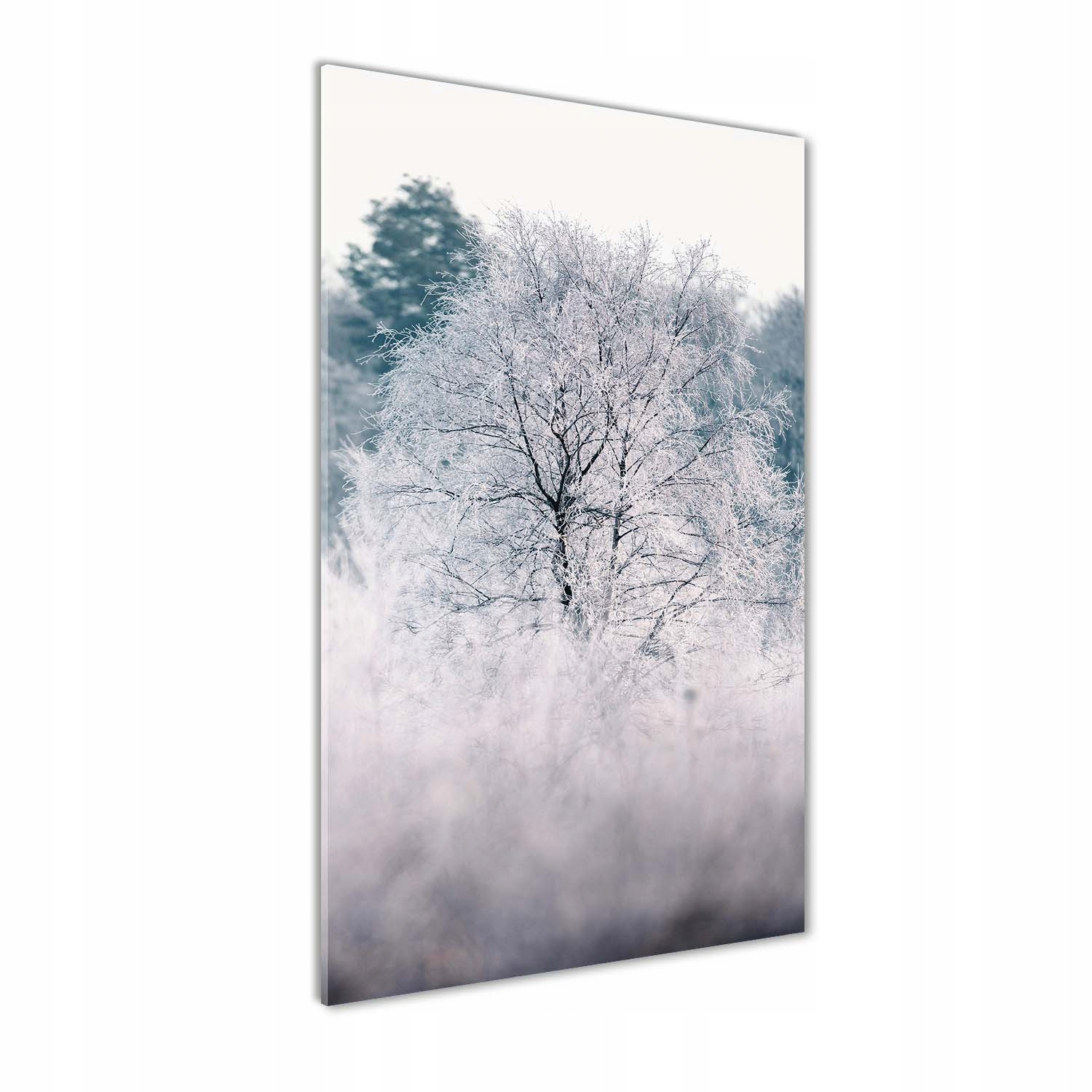 

Foto obraz akrylowy na ścianę Las zimą 60x120 cm