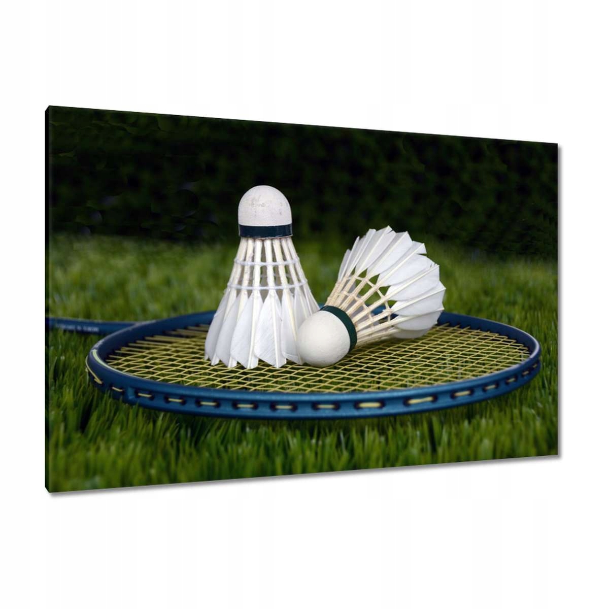 Obrazy 120x80 Paletky Lotky Badminton