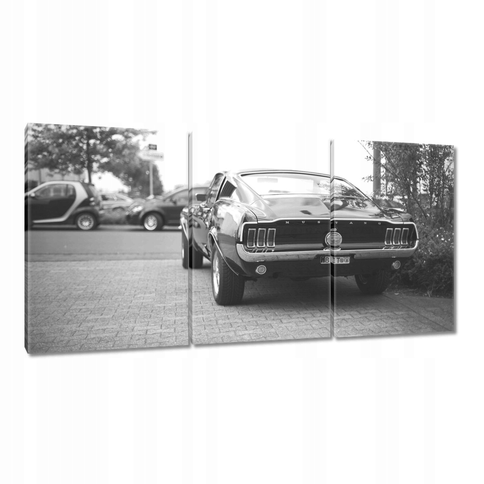 

Obrazy 120x60 Ford Mustang w sepii