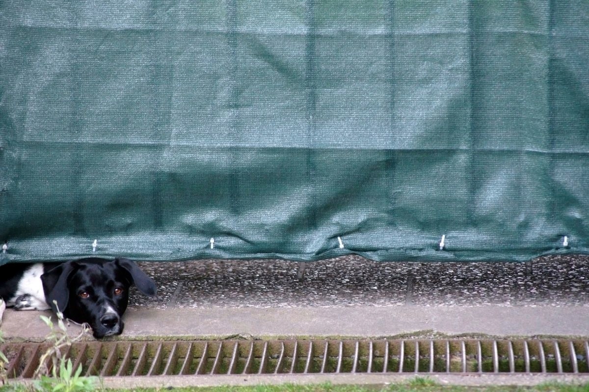 PASTUCH elektryczny DLA PSA POD SIATKĄ elektryzator 1,1J IZOLATORY +TESTER Marka Matador
