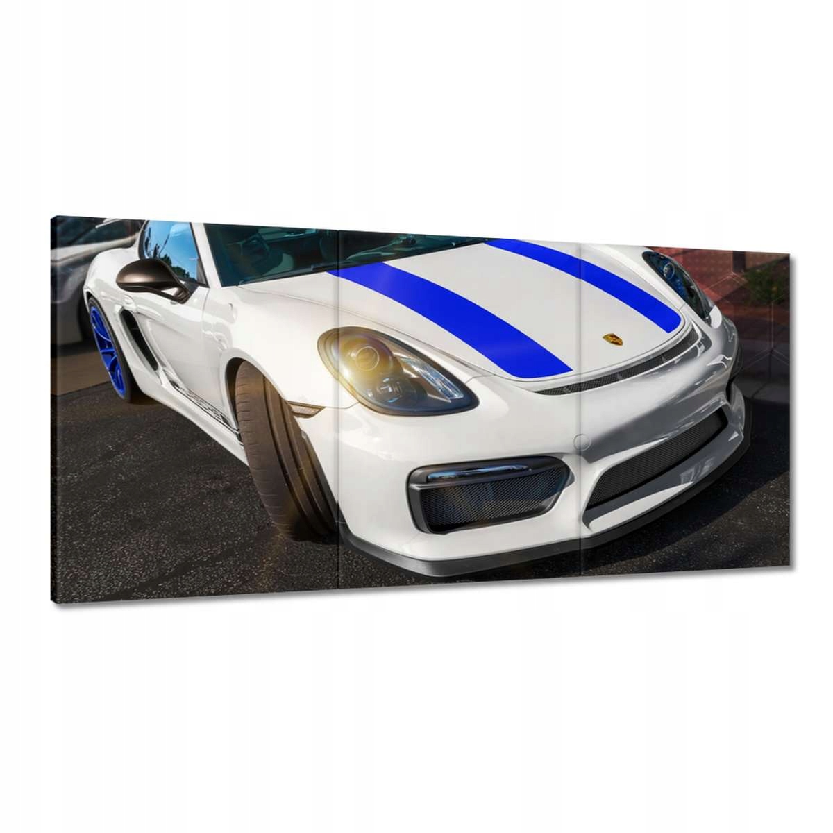 Obrazy 180x90 Porsche Vayman GT4