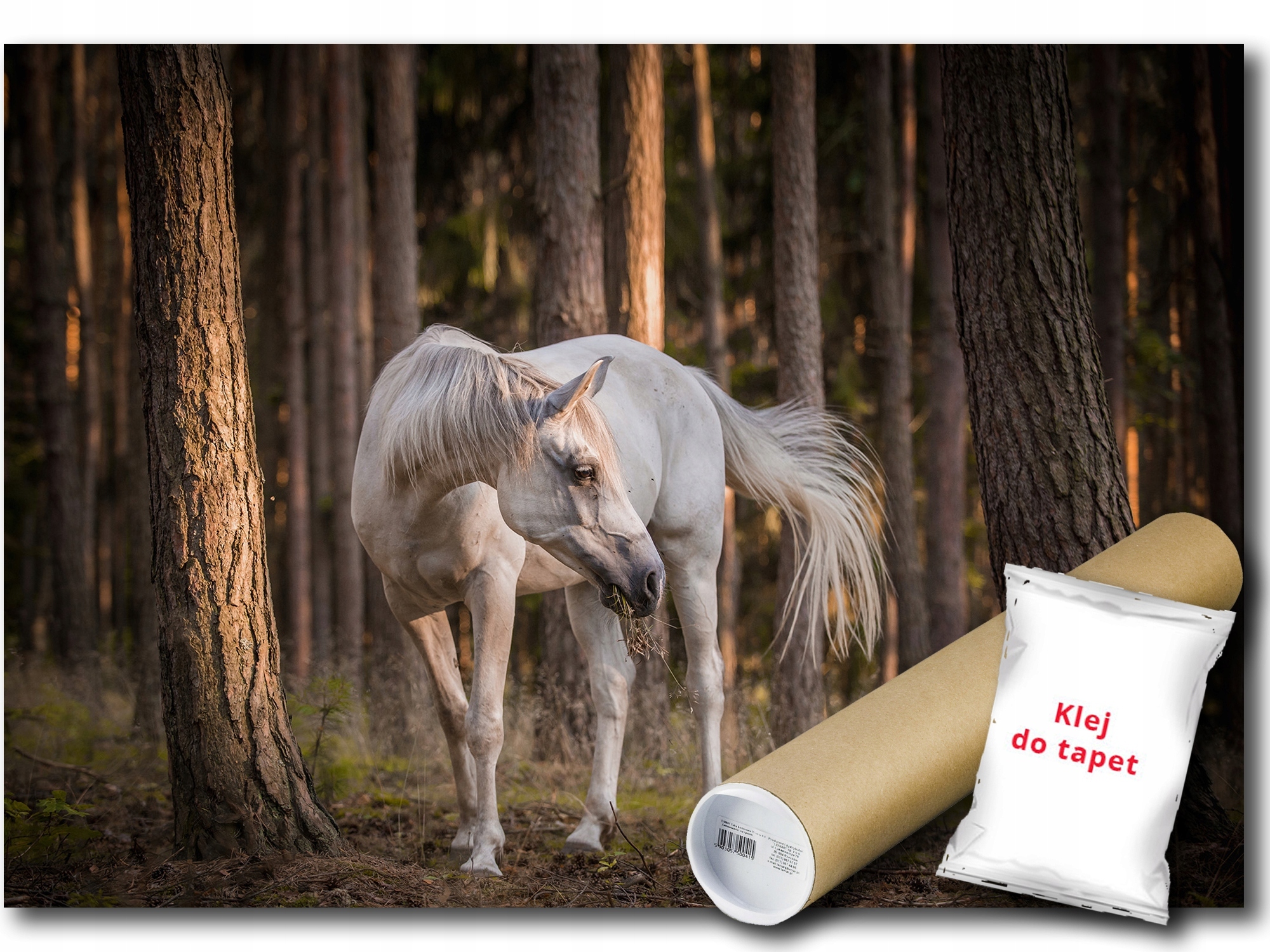 Vinylová Fototapeta Bílý Kůň Les Stromy 254x184