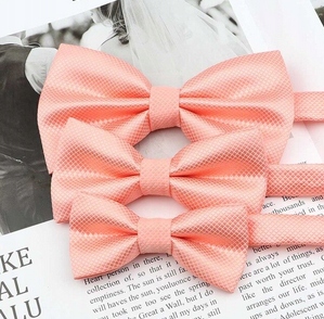 

Zestaw-mucha Muszka Ojciec I Syn x 2