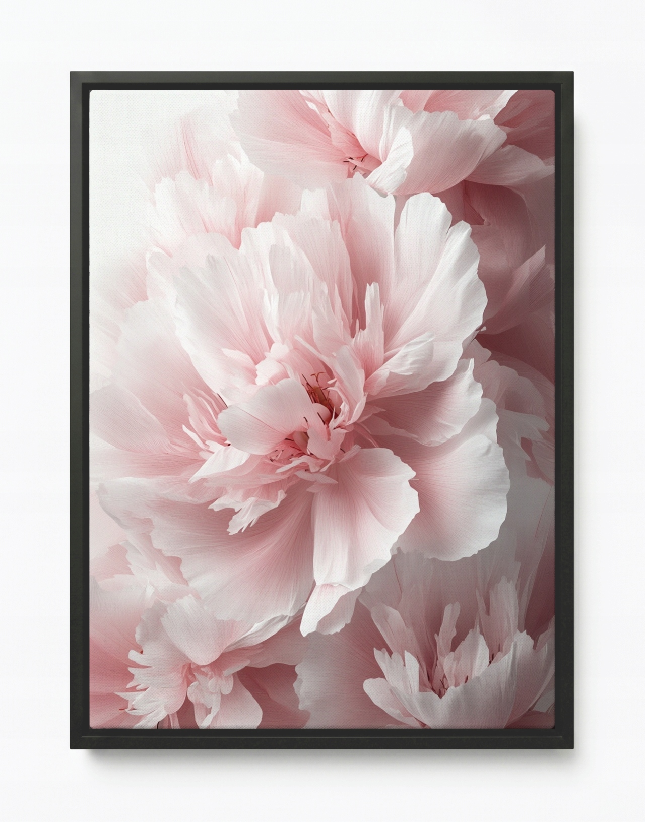 Obraz Rama American Box Príroda Kvety Ružové Pivonky Peonie Makro 60x80