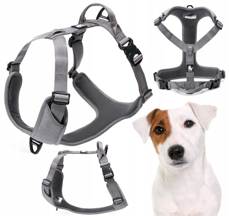 Levně Reflexní Postroje Pro Psa Easy Walk, Silné, Truelove, Lumen, Šedé