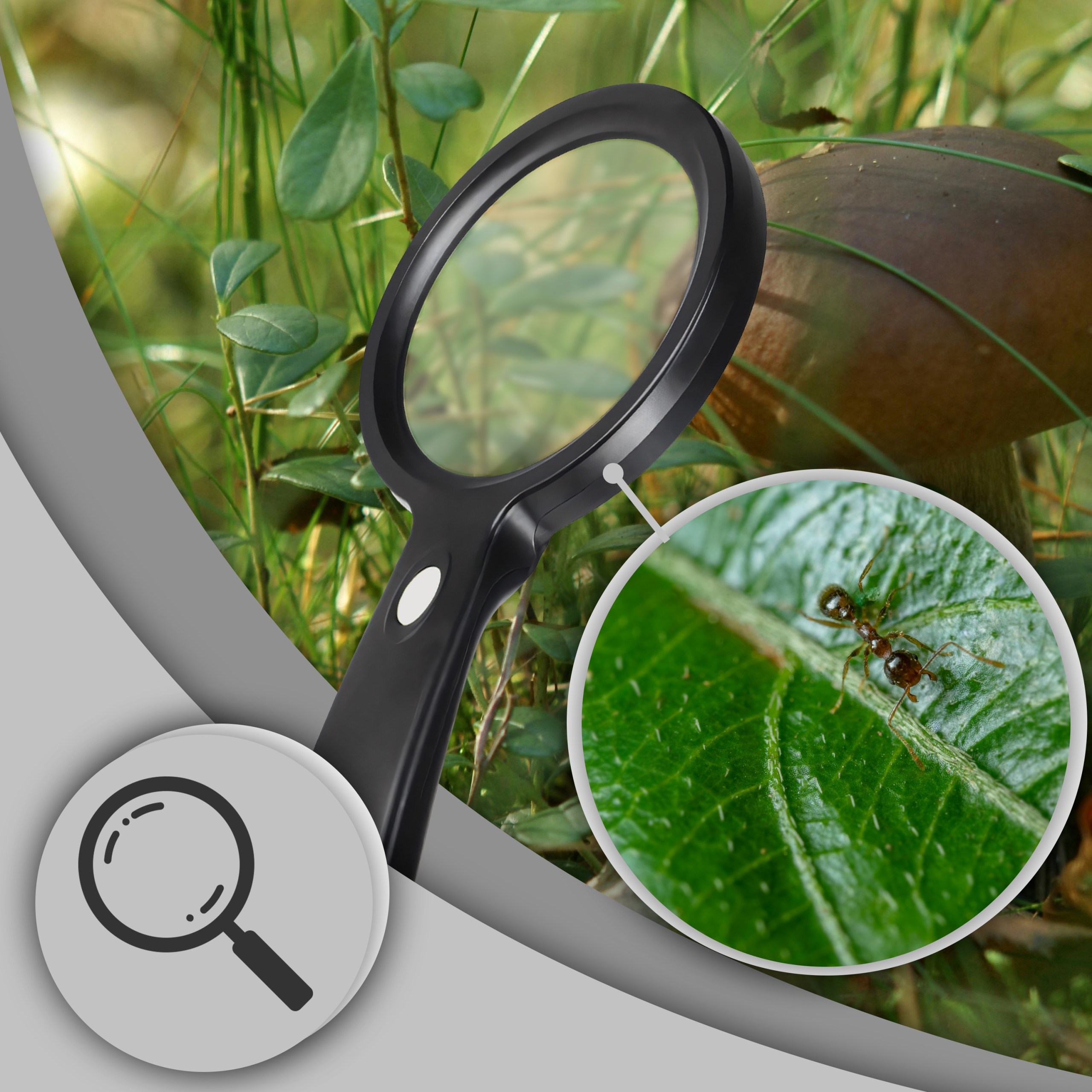 LUPA DO CZYTANIA PODŚWIETLANA SZKŁO POWIĘKSZAJĄCE Z OŚWIETLENIEM LED 10X Kod producenta OR1248