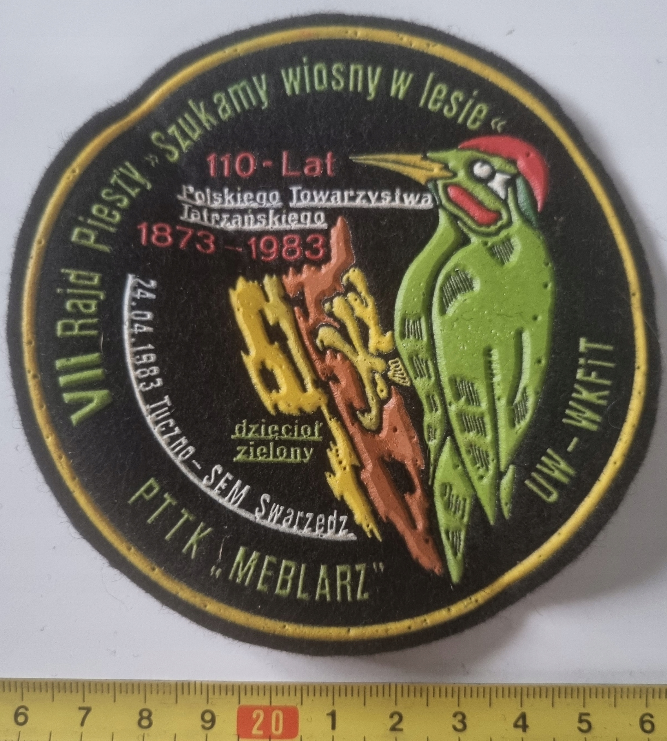 NASZYWKA VII RAJD PIESZY SZUKAMY -WIOSNY W LESIE TUCZNO 83 DZIĘCIOŁ ZIELONY