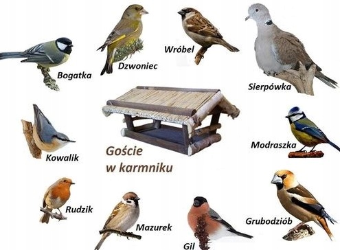 KARMA ZIARNISTA DLA DZIKICH PTAKÓW 5 KG