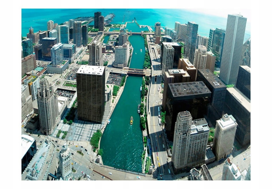 

Fototapeta - Architektura miejska Chicago 200X154