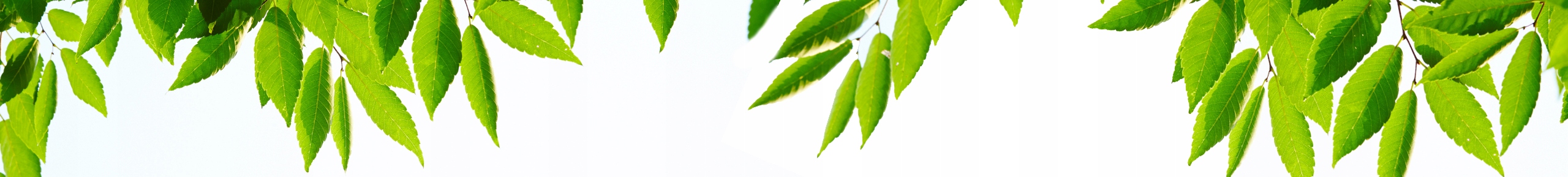 TRAMPOLINA OGRODOWA DLA DZIECI SIATKA OCHRONNA ELASTYCZNA MATA 183CM 150KG Rozmiar (ft) 6 (180-183 cm)