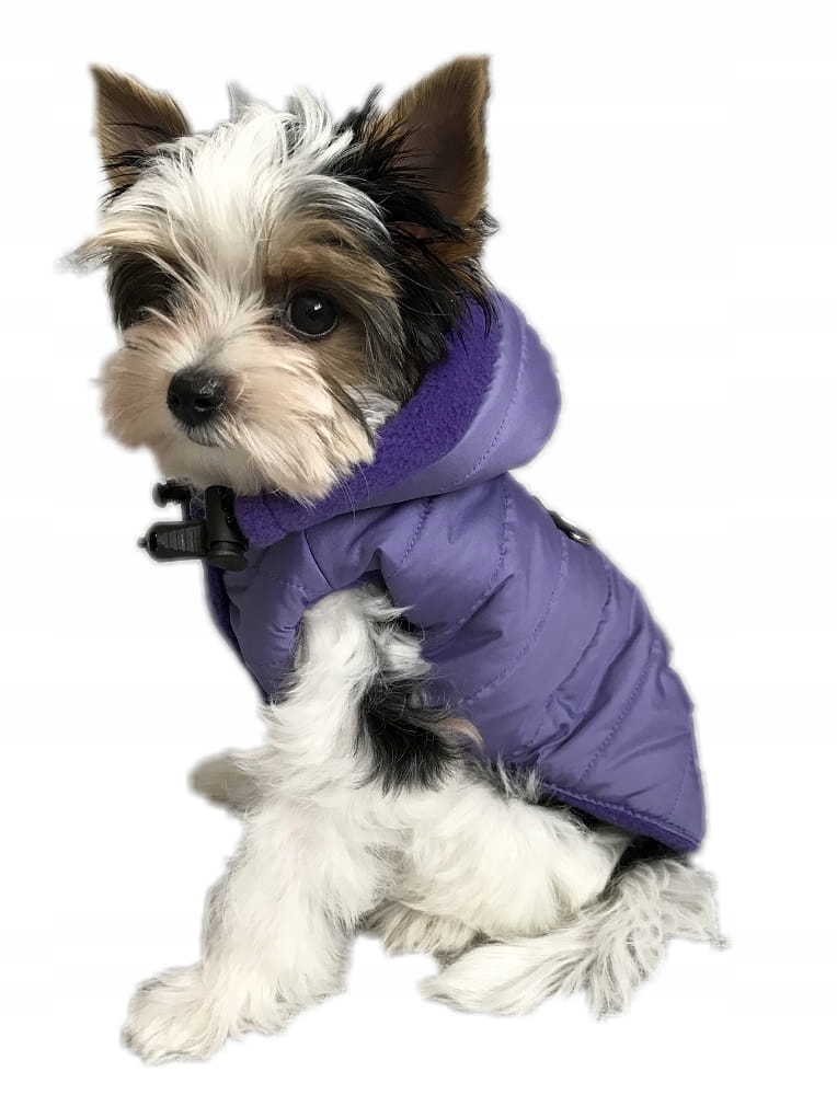 

Ręcznie szyta kurtka sport fioletowa XXL Shih Tzu