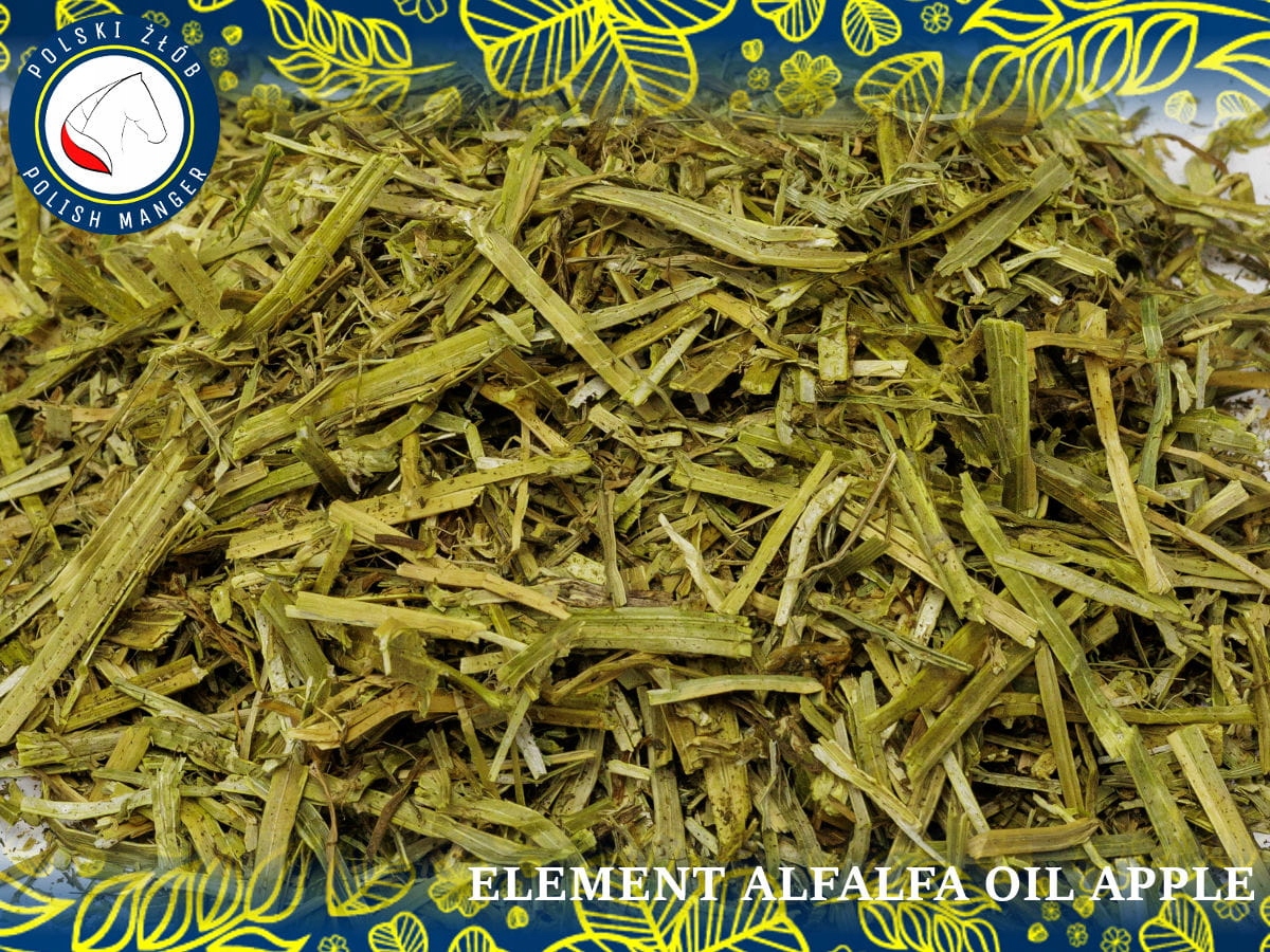 AlfAlfa Oil Apple 12,5kg - sieczka z lucerny jabłk EAN (GTIN) 5904107775470