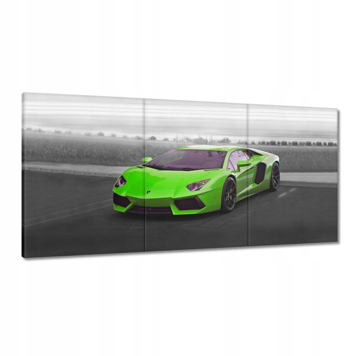 Obrazy 120x60 Sporotwe auto