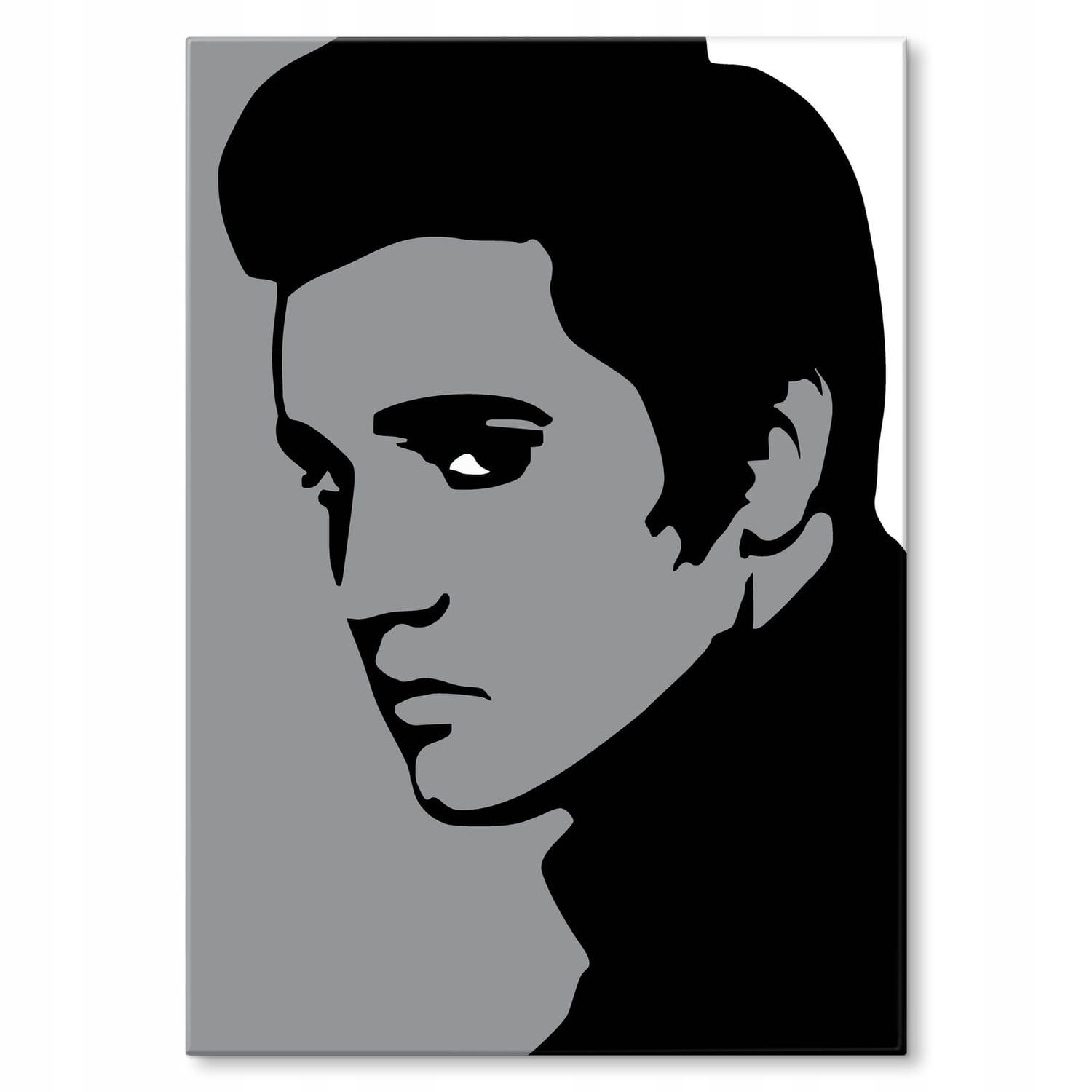 Plech velký kovový plakát plakát obraz umělec hudebník Elvis Presley