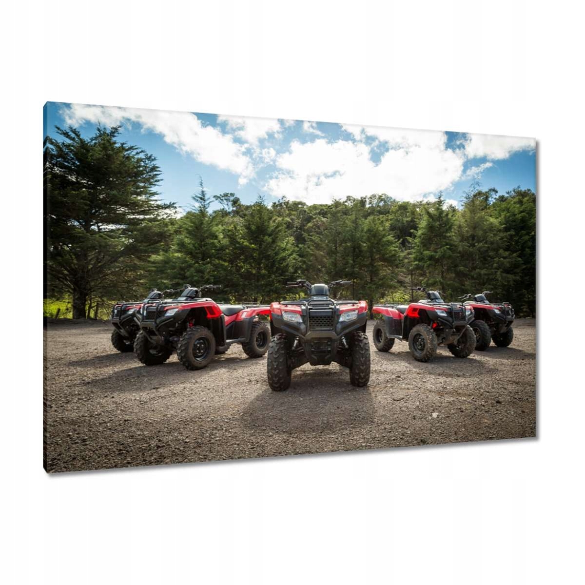Obrazy 120x80 Quad Čtyři kolečka Terén