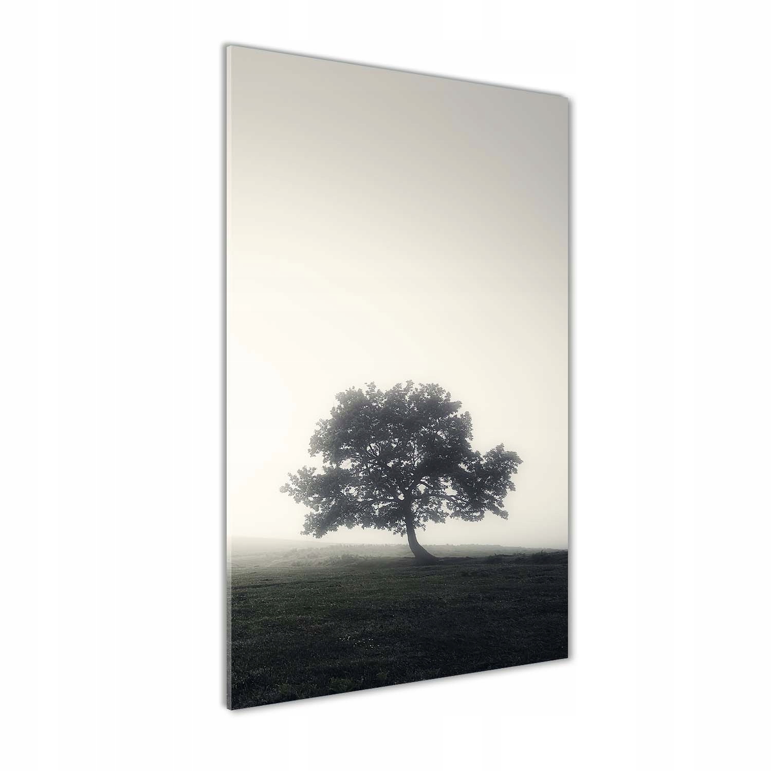 

Foto obraz zdjęcie na szkle Drzewo we mgle 70x140