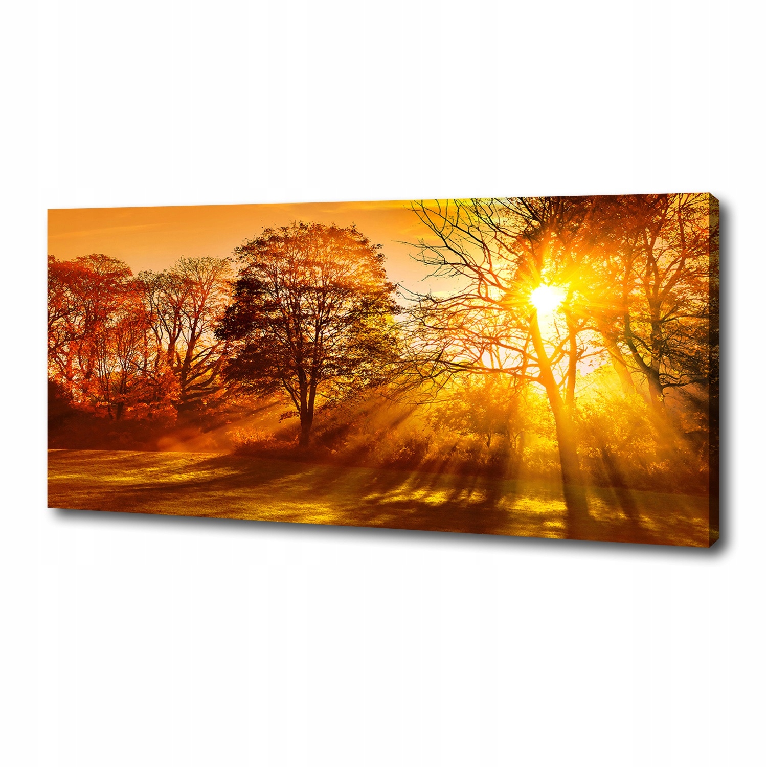 

Foto obraz na płótnie Zachód słońca 125x50 cm
