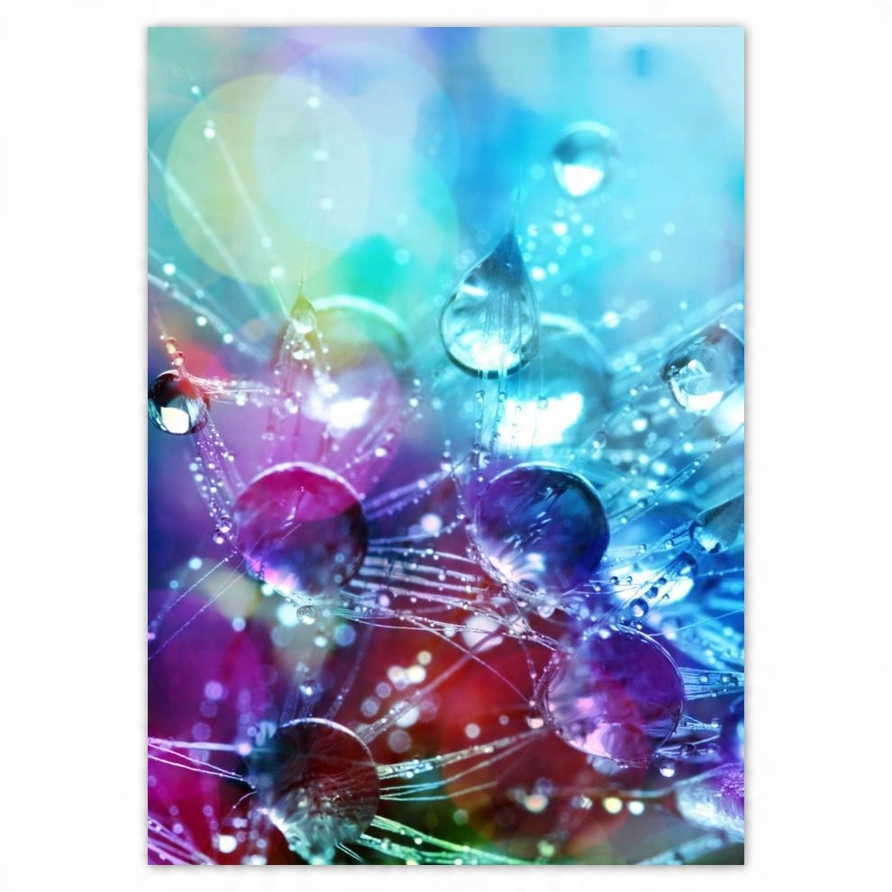 

Plakaty 50x70 Dmuchawiec Dmuchawce