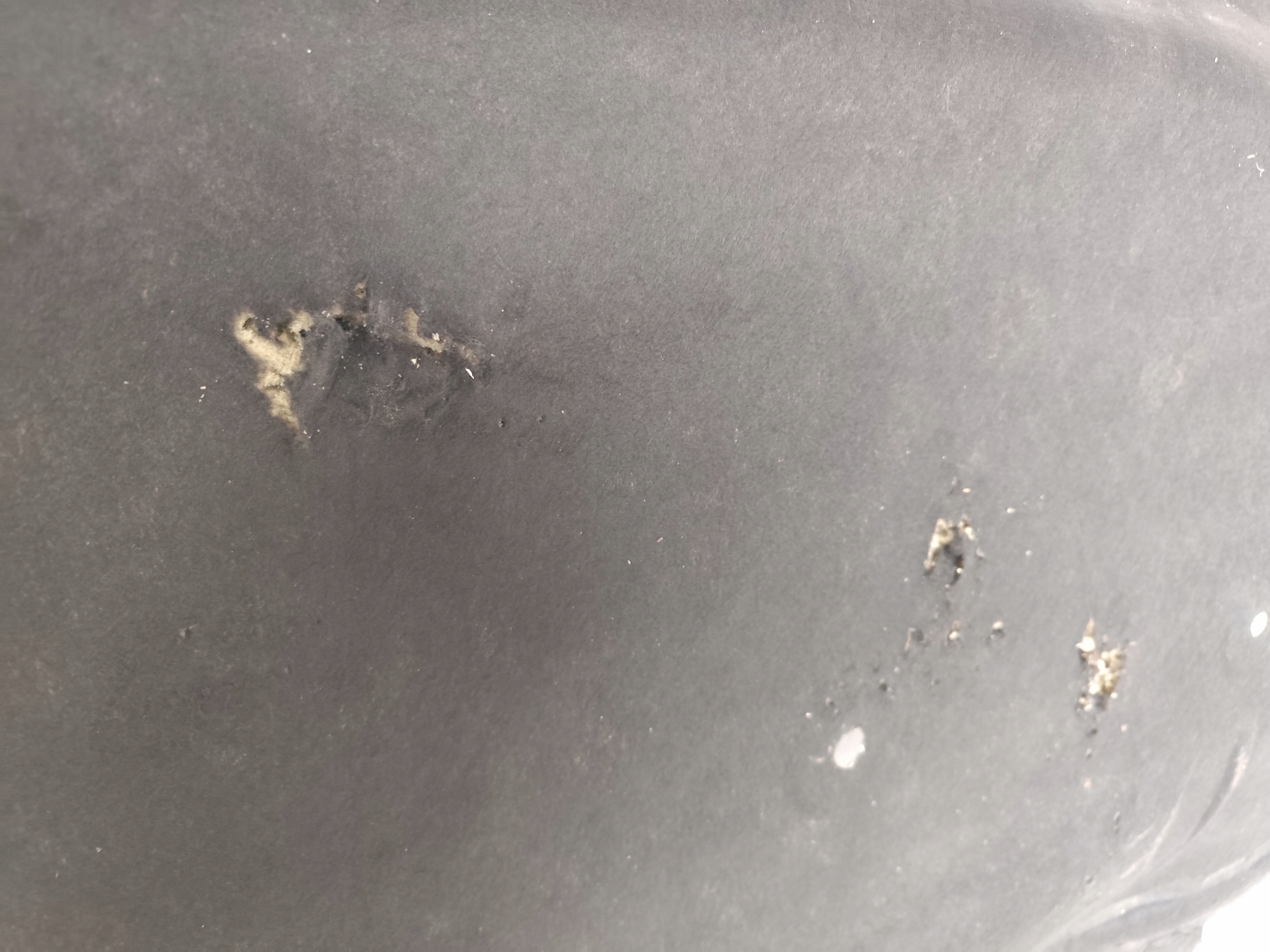 OPEL INSIGNIA B 2019 1.5T soundproofing bonnets